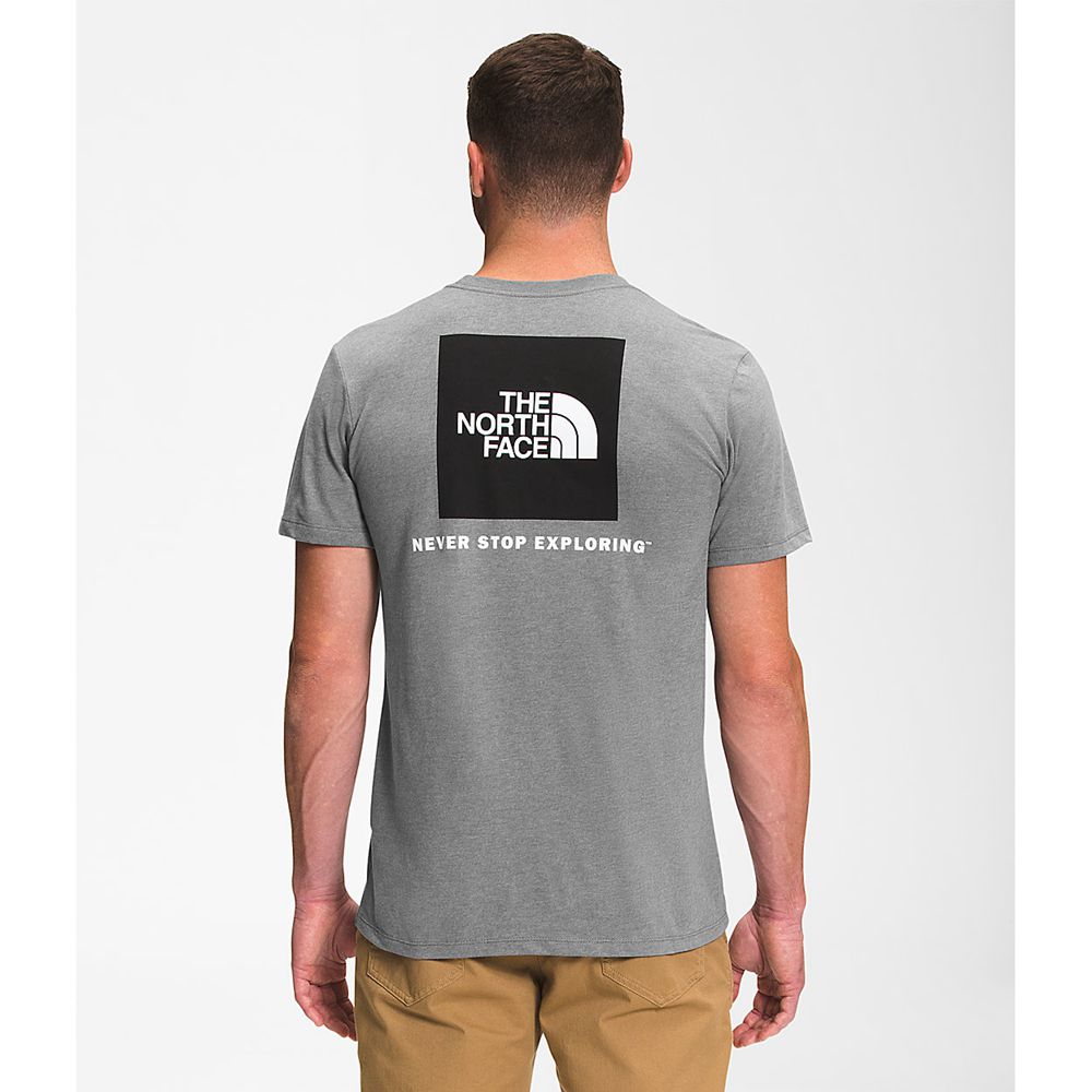 The North Face T-Shirts Mens Australia - The North Face Short Sleeve Box Nse Grey / Black Never Stop